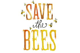 SaveBees-sm1-e1415209973626-1.jpg