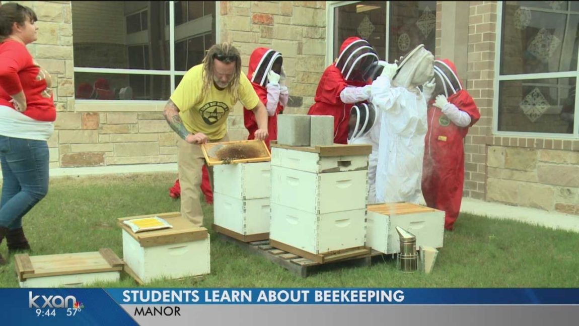 austin-students-learn-about-bees-removal-rescue.jpg