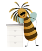 bee-removal-rescue-icon