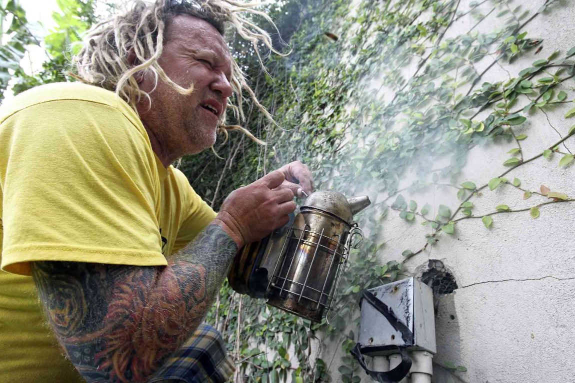 walter-bee-removal-texas-smoker.jpg