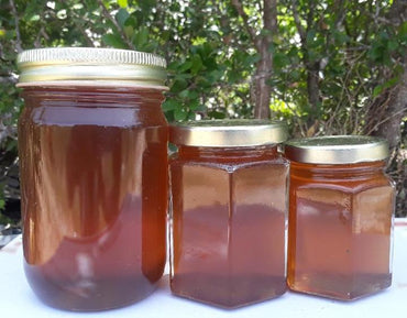 Honey_720x_f790e4c6-892a-45ba-bf5f-64dda4e9fb56_370x