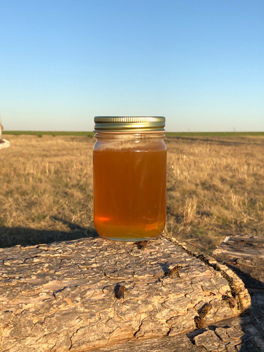 c2156c1f-376b-4fc6-92da-65d09e359790_b6490777-621c-40b5-a828-6cd96602eba0_370x